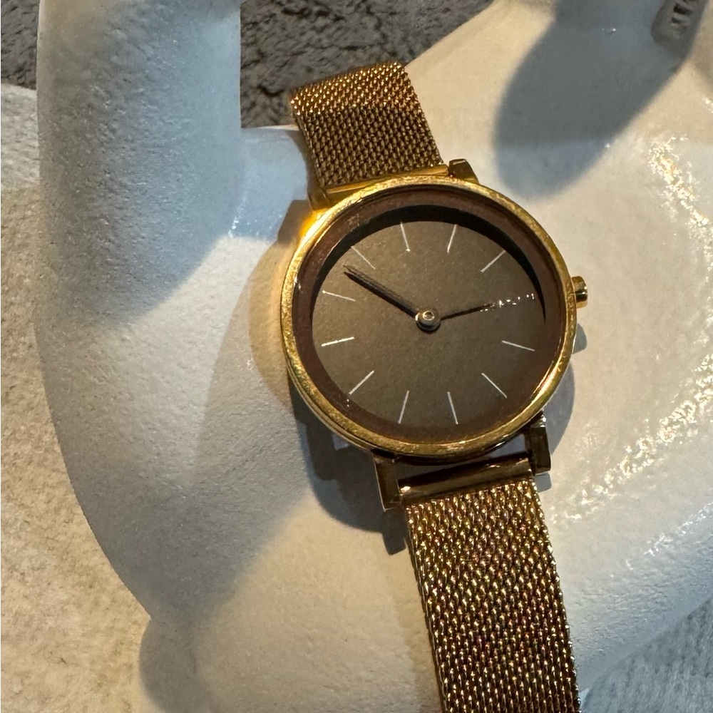 Skagen Rose Gold Tone Women’s Mesh Adjustable Band Watch Needs Battery